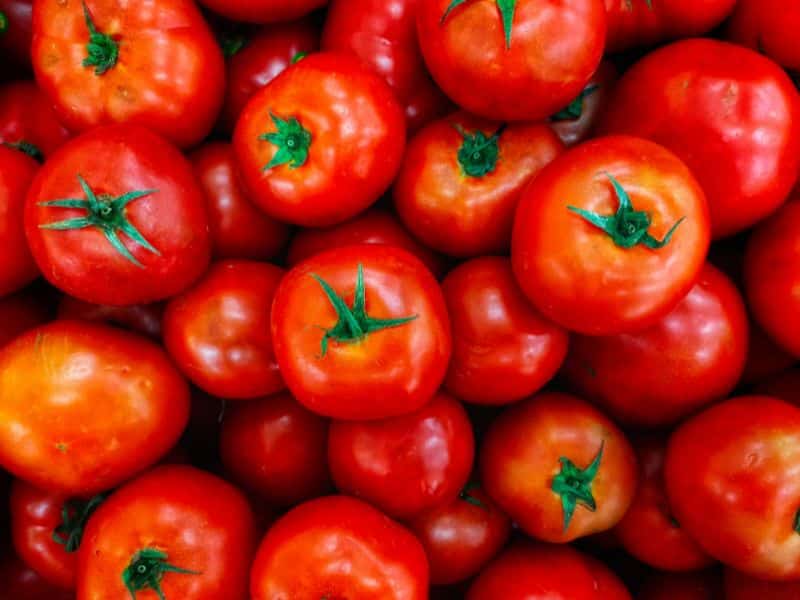 Ako sadiť paradajky - Rady a postupy pre zdravú úrodu