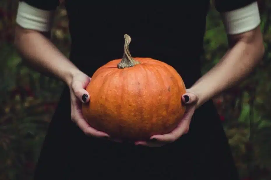 Kreatívne a zdravé recepty s dyňou: Oslávte jeseň v kuchyni